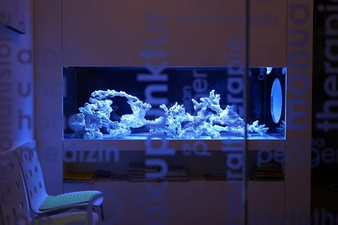 Ansicht eine für den Kunden produzierten Aquariums