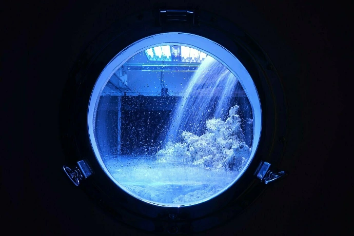 Aquarium als Pullauge für einen Kunden