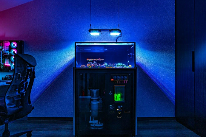 Ein schön beleuchtetes Aquarium von Alpenriff