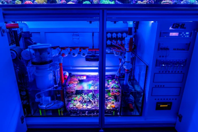 Organisierte Aquarium Technik