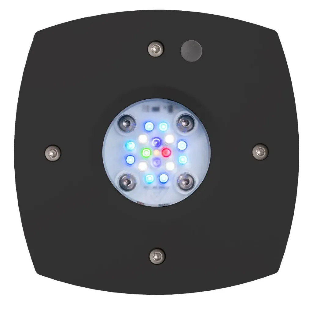 AI Prime 16HD Reef